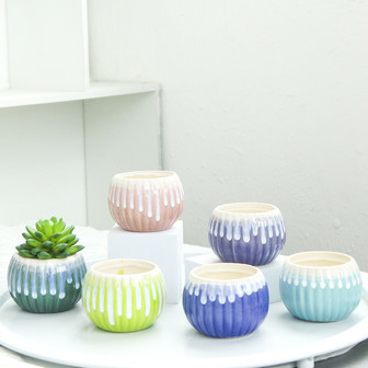 Pink, Green, Blue and Purple Ceramic Plant Pot in Minimalist Design | Rusticozy CA