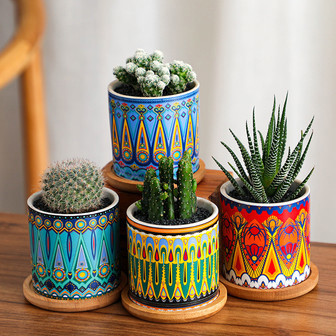 Vintage Small Ceramic Plant Pot For Succulent | Perfect for Farmhouse & Rustic Decor | Rusticozy