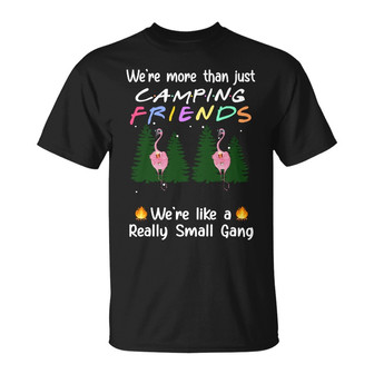 Personalized Friends Flamingo Camping T Shirt - Thegiftio UK