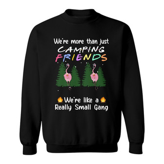 Personalized Friends Flamingo Camping Sweatshirt - Thegiftio UK