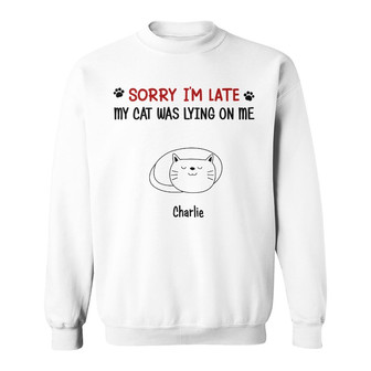 Personalized My Cats Were Laying On Me Sweatshirt - Thegiftio UK