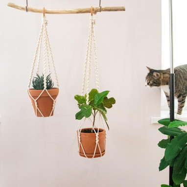 Home & Garden