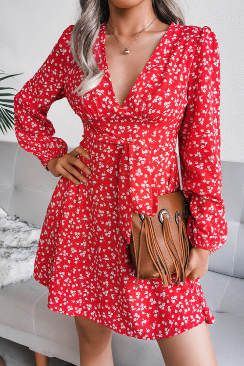 Early Autumn Floral Batch Printing New Stylish V-Neck Lace-Up Loose Chiffon Mini Dress - Vougese
