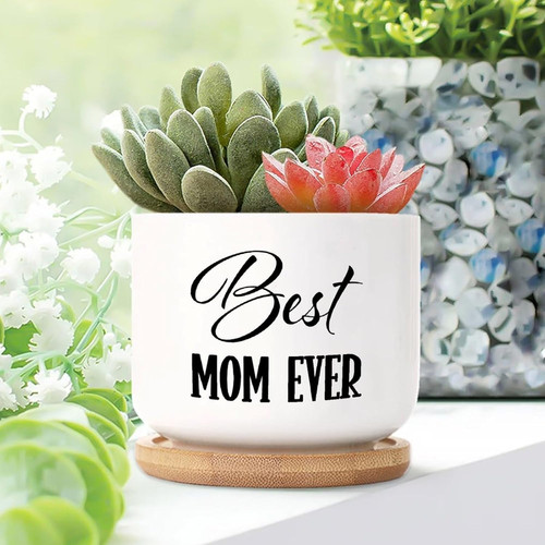Mother's Day succulent pot, small ceramic planter with drainage, 'Best Mom Ever' script quote, white round style for mom gift | Familywalldecor