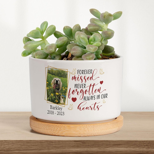 Dog memorial plant pot with custom pet photo and name, a heartfelt sympathy gift for dog lovers and comforting home decor | Familywalldecor