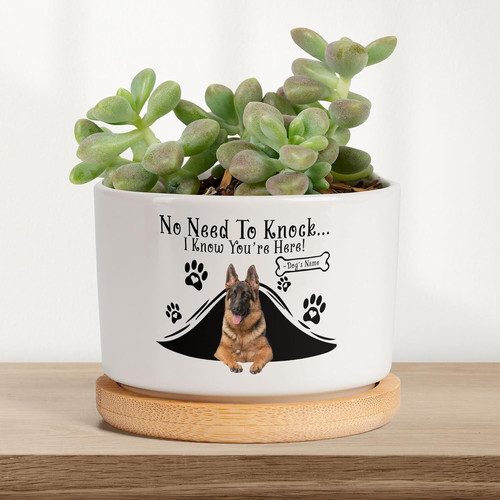 Dog memorial planter pot with custom pet photo, name, and dates; sympathy tribute gift for dog moms and dads, desk or garden | Familywalldecor