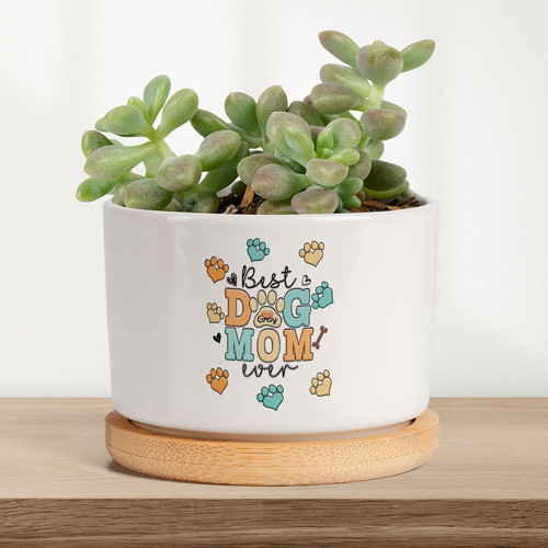 Custom photo dog planter, white ceramic; personalized pet photo memorial gift for dog mom, succulent pot, home office decor | Familywalldecor