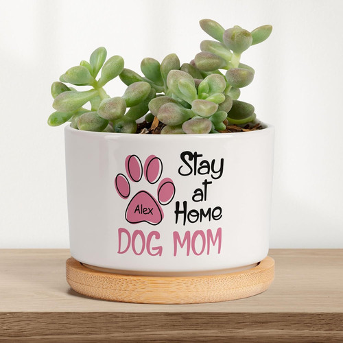 Personalized pet memorial plant pot with dog photo, custom name and dates — sympathy gift for pet parents, home or office | Familywalldecor