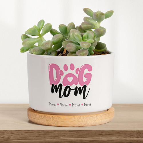 Dog photo planter personalized as a pet memorial, custom with name and dates, planter for home or office decor | Familywalldecor
