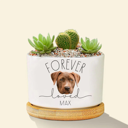 Dog memorial plant pot with custom dog photo, white ceramic planter, sympathy gift for pet loss, indoor remembrance decor | Familywalldecor