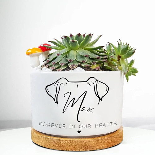 Personalized pet memorial plant pot with bamboo tray, custom name and dates, tribute for home or garden succulents | Familywalldecor