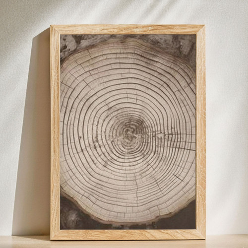 Earthy Tree Ring Canvas For Japandi Bedroom Decor - Wabi Sabi Wall Art Above Bed | Family Wall Decor