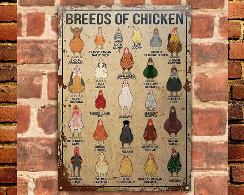 Breeds of Chicken Vintage Tin Sign for Coop, Indoor/Outdoor Decor - Personalize Wall Art