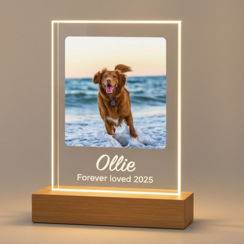 Keep Their Memory Glowing Custom Pet Photo Night Light - Easessy