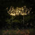 Outdoor Solar Sparkler Lights Warm White