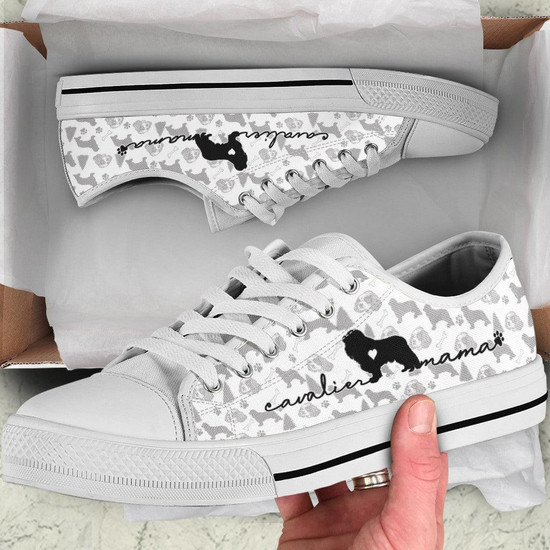 Cavalier king charles spaniel shoes outlet