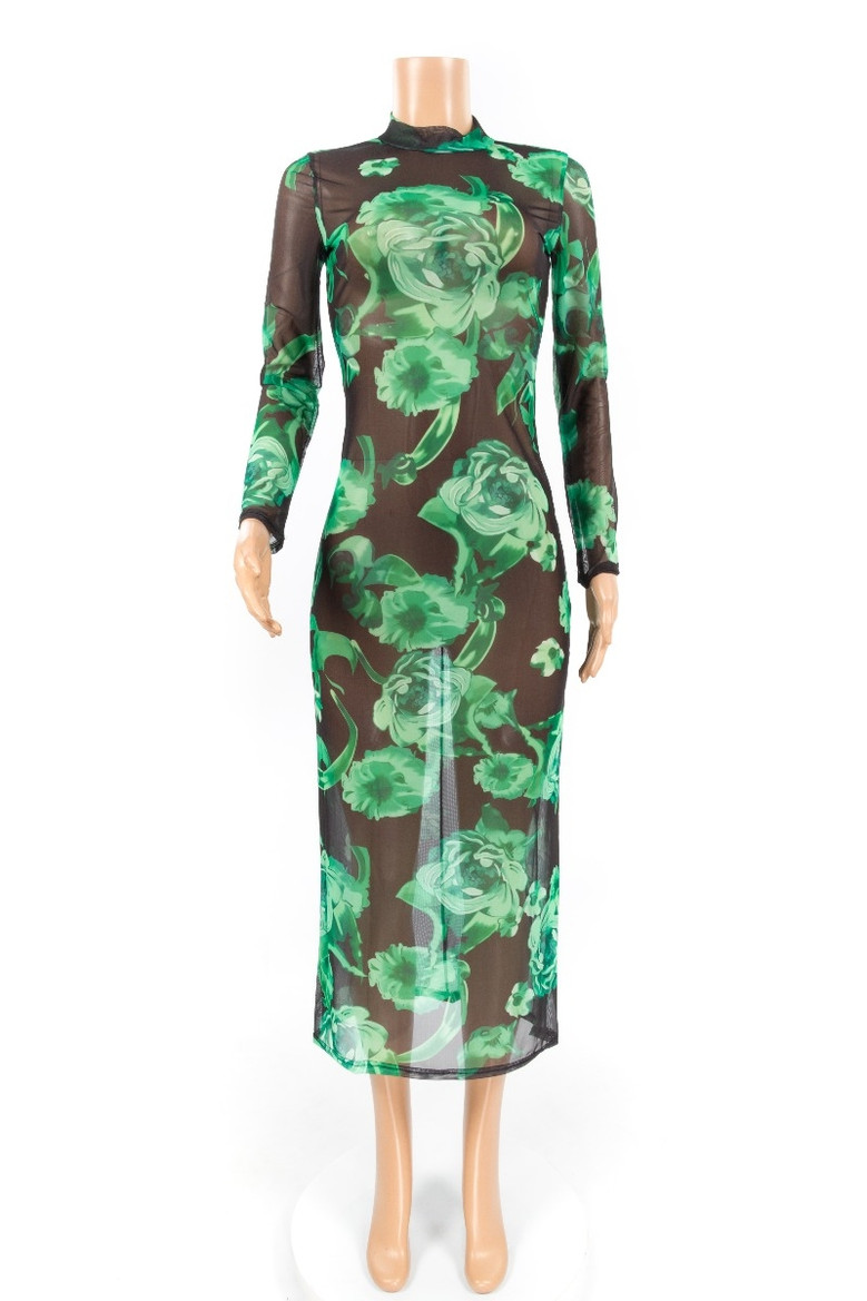 Sexy Perspective Stretch Mesh Print Dress Long Skirt