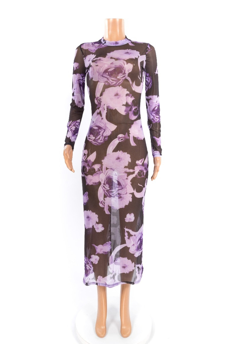 Sexy Perspective Stretch Mesh Print Dress Long Skirt