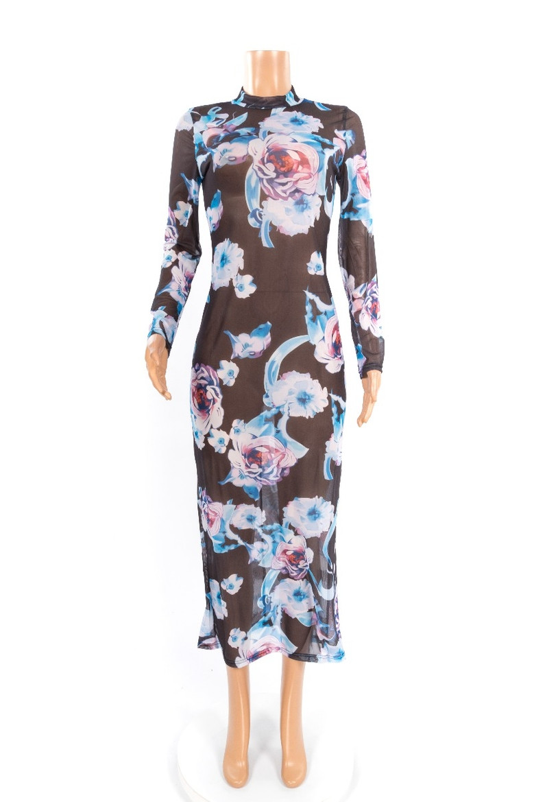 Sexy Perspective Stretch Mesh Print Dress Long Skirt