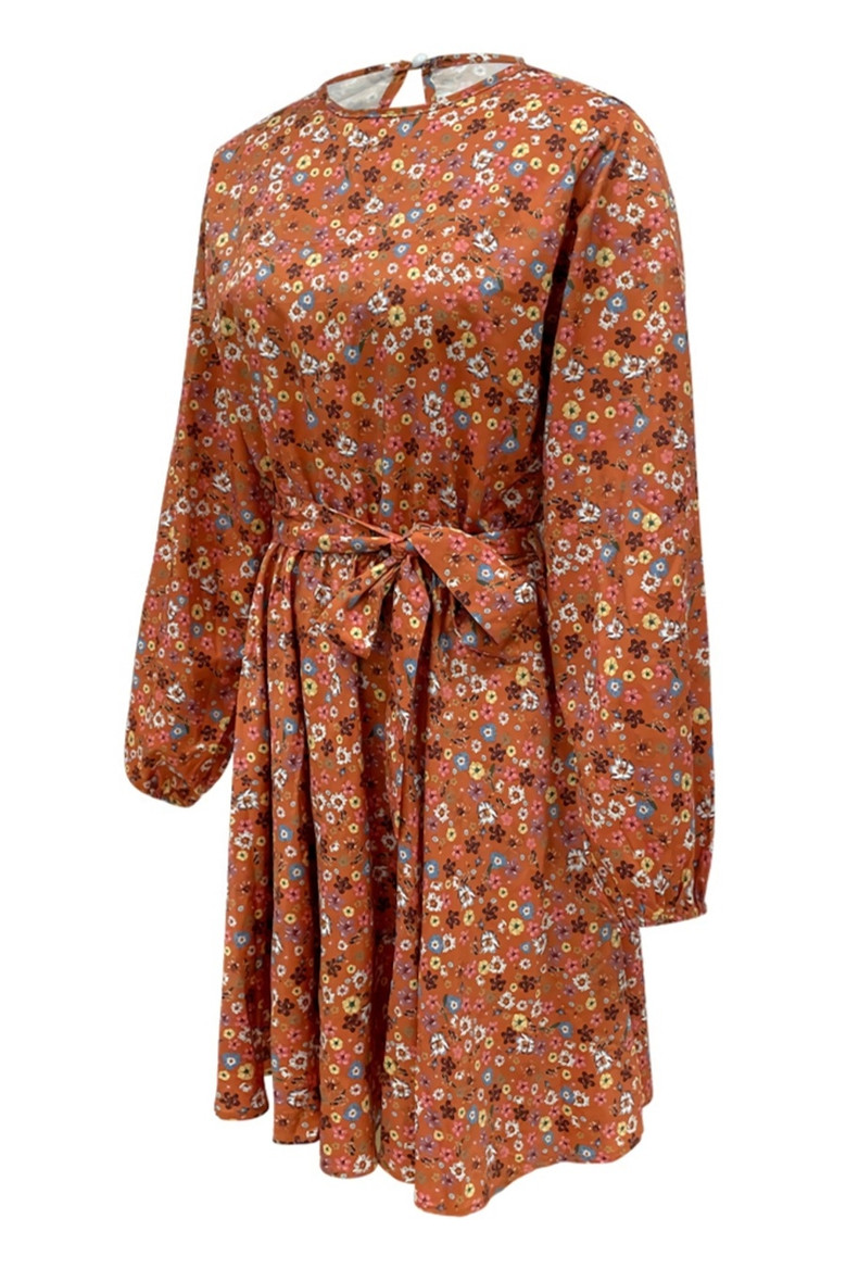 Spring New Stylish Batch Printing Inelastic Pleated Plus Size Loose Casual Mini Dress(With Belt)
