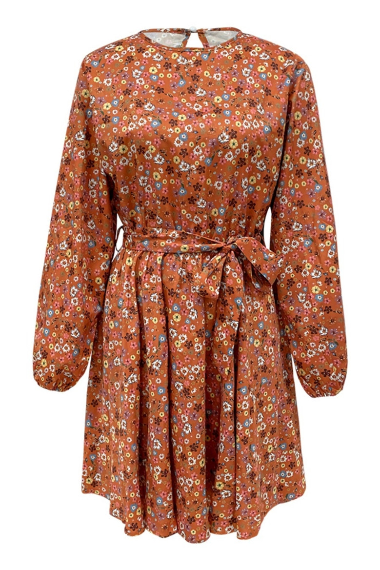 Spring New Stylish Batch Printing Inelastic Pleated Plus Size Loose Casual Mini Dress(With Belt)