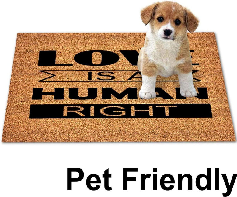 Love Is A Human Right Coir Mat Non-slip Backing Entryway Rugs Indoor, Funny Coir Doormat Entry Mat Custom Door Mats For Front Door Love Is A Human Right Coir Mat Non-slip Backing Entryway Rugs Indoor, Funny Coir Doormat Entry Mat Custom Door Mats For Front Door