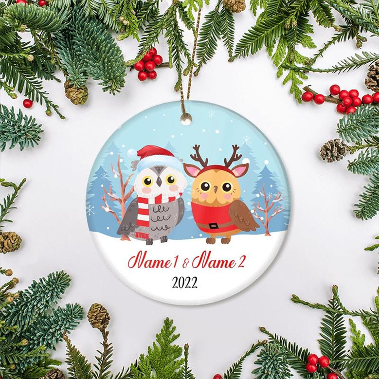 Personalized Owl Brother or Sister Christmas Ornament for Siblings Little Brother Sister with Names Customized Christmas Tree Ornament