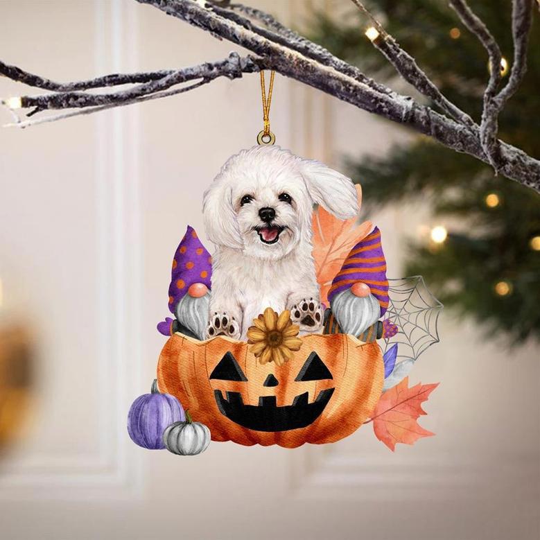 Maltipoo-Gnomes Pumpkins Hanging Ornament