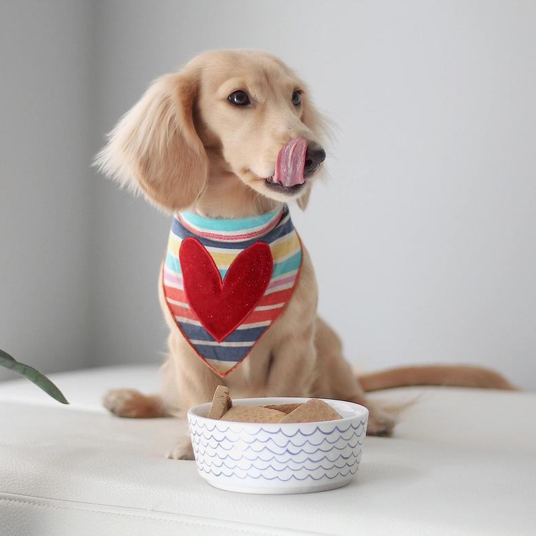Ceramic Dog Bowl, Pet Dish, Home Decor, Large Size, Gift For Dog