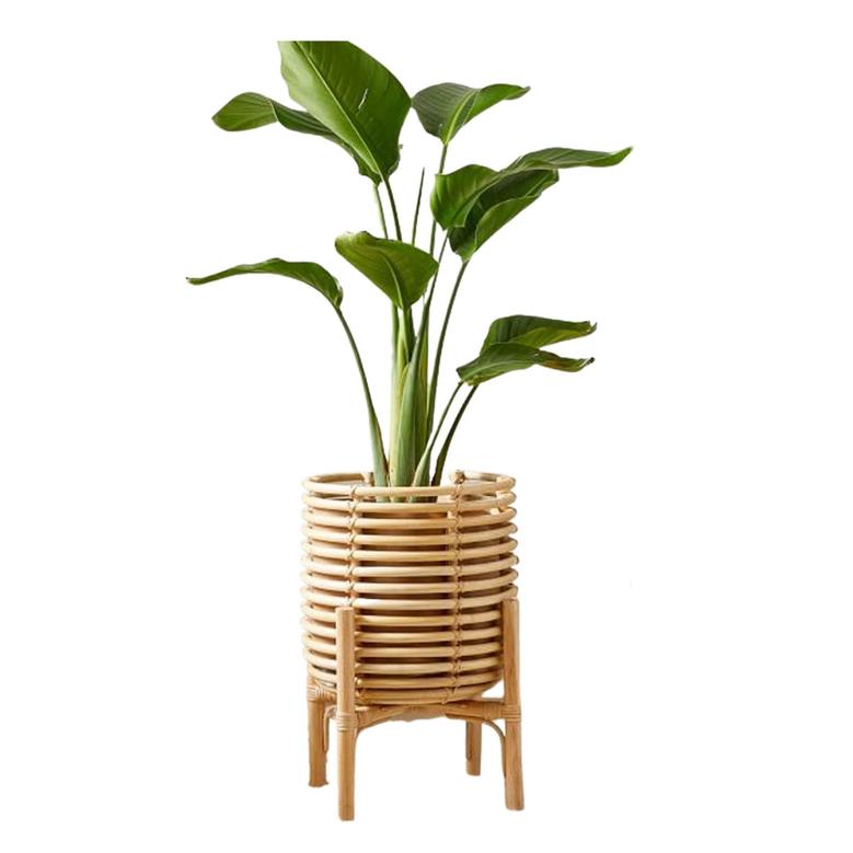 Wicker Rattan Plant Big Stand Planter Pot Living Room Rustic Home Decor Gift For Him