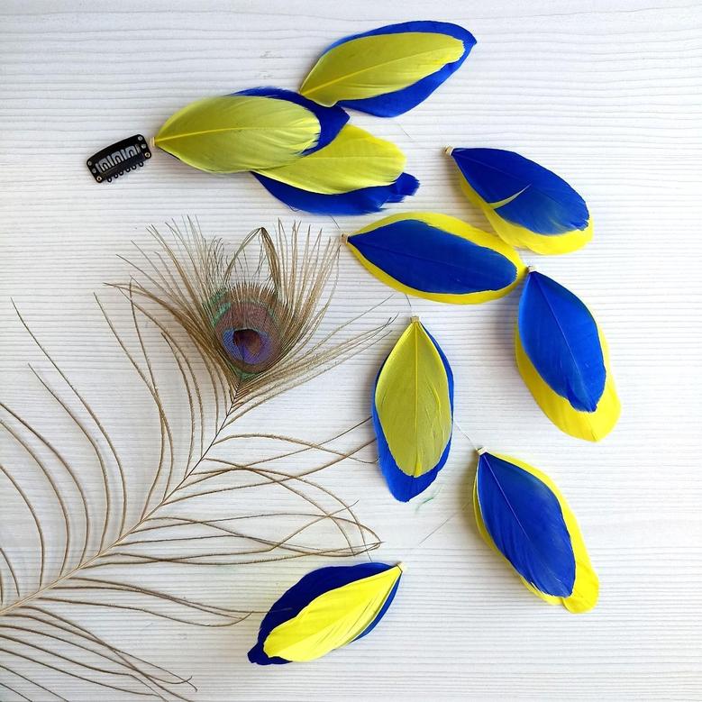 A Hair Clip With Feathers For Hair. 45 Cm. Ornaments With Feathers