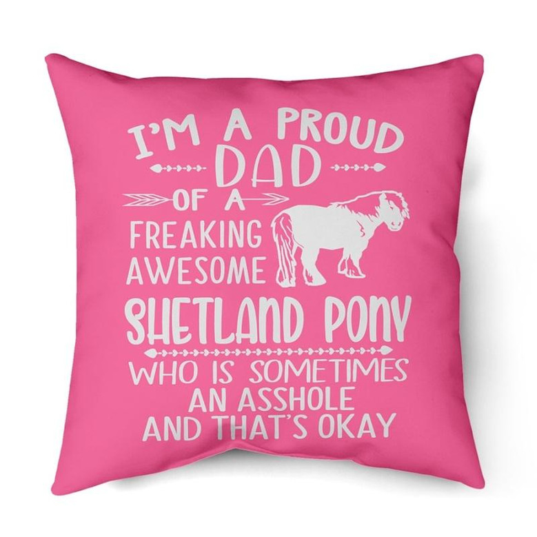 A Proud Dad Of A Shetland pony