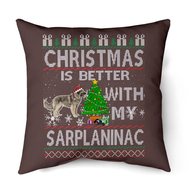 Christmas is better with my Sarplaninac