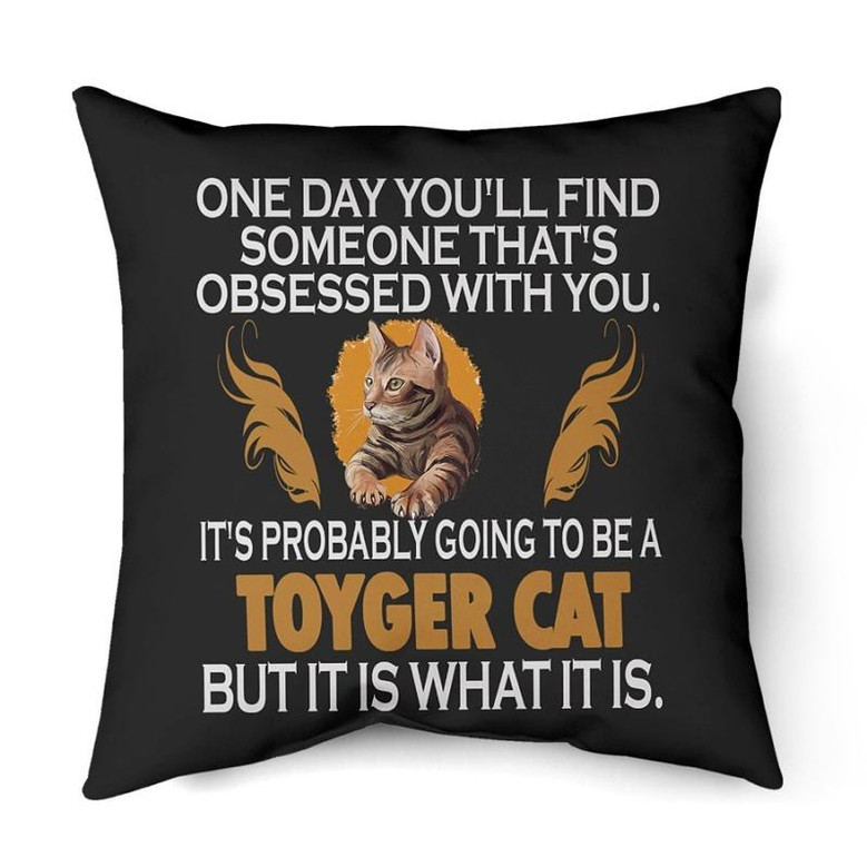 It's Probably Going To Be A Toyger cat It's Probably Going To Be A Toyger cat