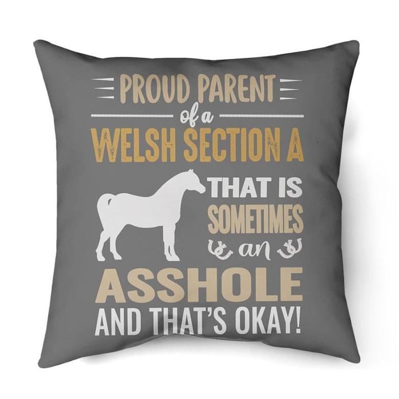 Proud parent of a Welsh Section A
