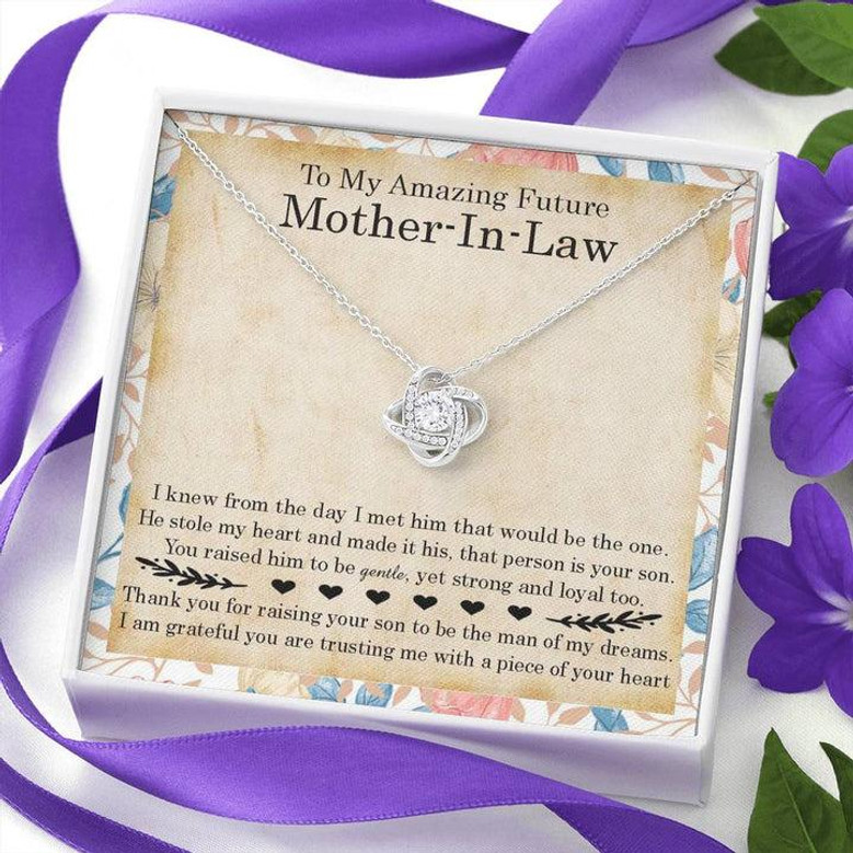 To My Amazing Future Mother-In-Law Gift Love Knot Necklace, Gift For Future Mother-In-Law, Birthday Mother's Day Gift Necklace