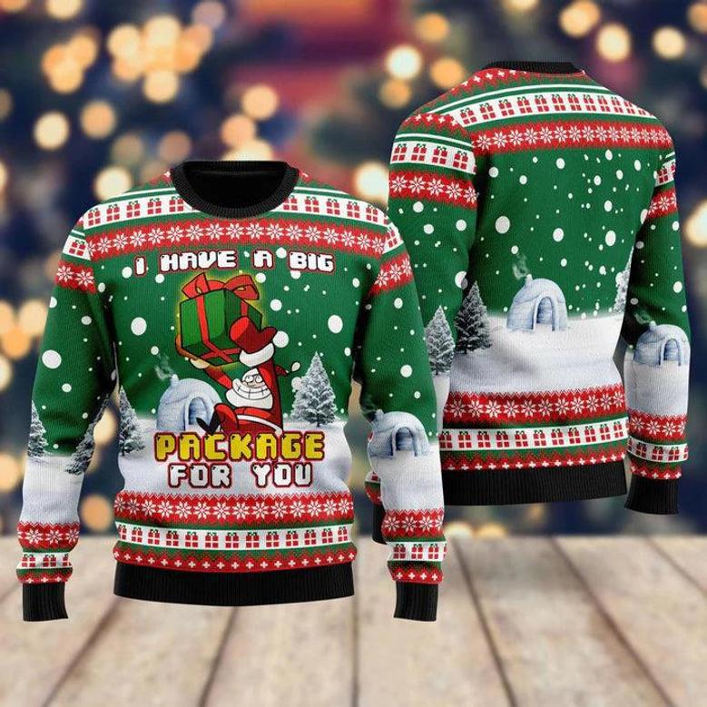 I Have A Big Package For You Christmas Ugly Christmas Sweater For Men & Women