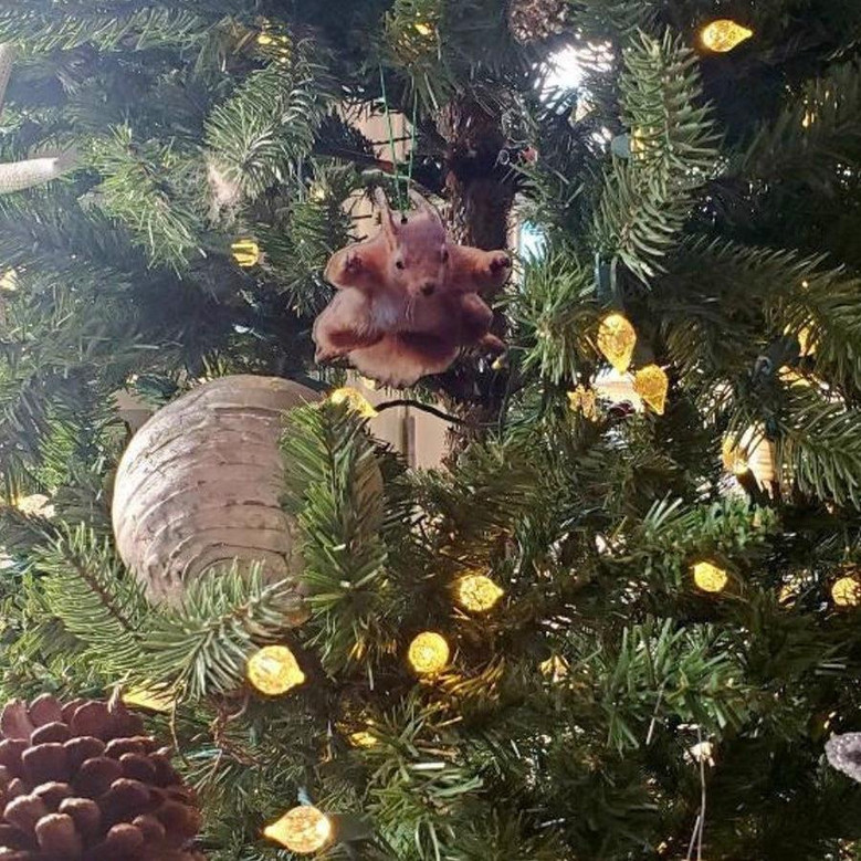 Funny Christmas Ornament - Flying Squirrel