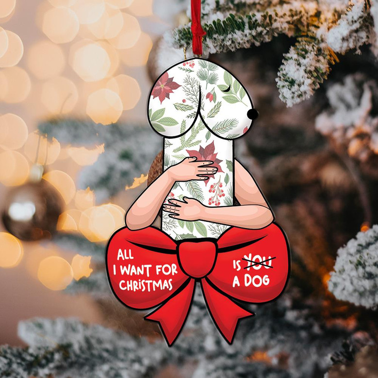 Funny Christmas Ornament, Dirty Christmas Ornament, All I Want For Christmas Is A Dog, Dog Lover Gift