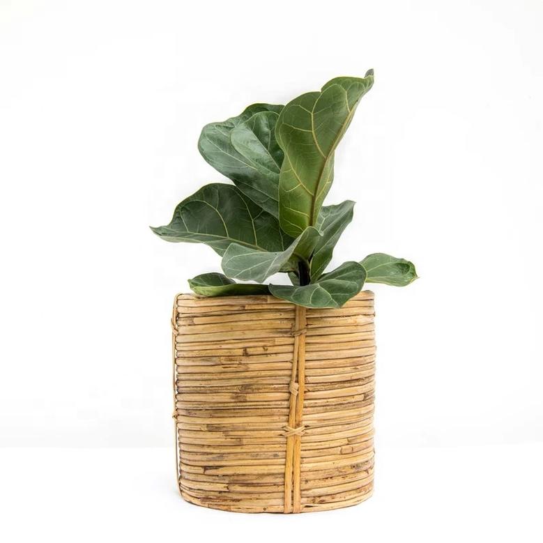 Eco-Friendly Medium Natural Rattan Flower Pots Planters Rattan Plant Basket And Waste Bin