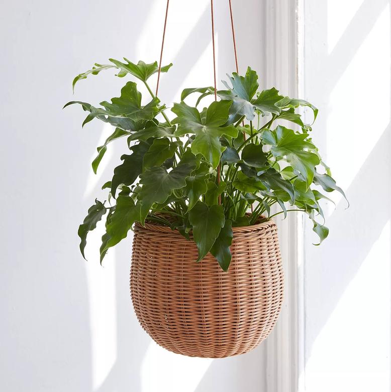Hanging Rattan Basket For Plant Holder Unique Garden Decorative Flower Pot Back Yard Decor Plants Planters
