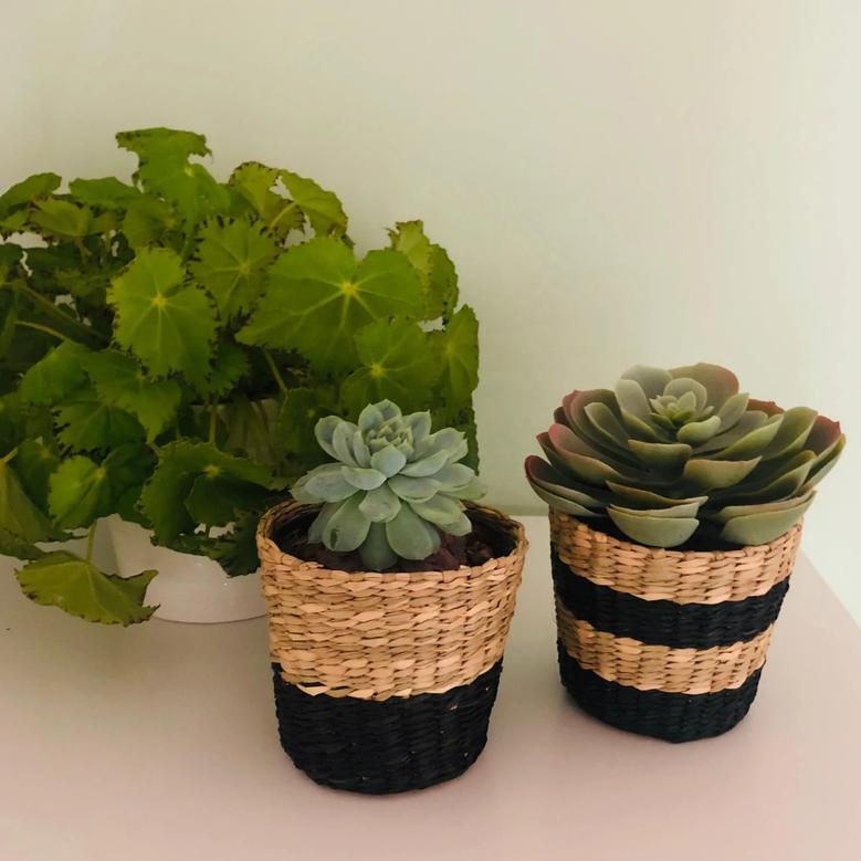 Indoor Plant Pots Natural Natural And Black Small Seagrass Planter Hand Woven Seagrass Flower Pots