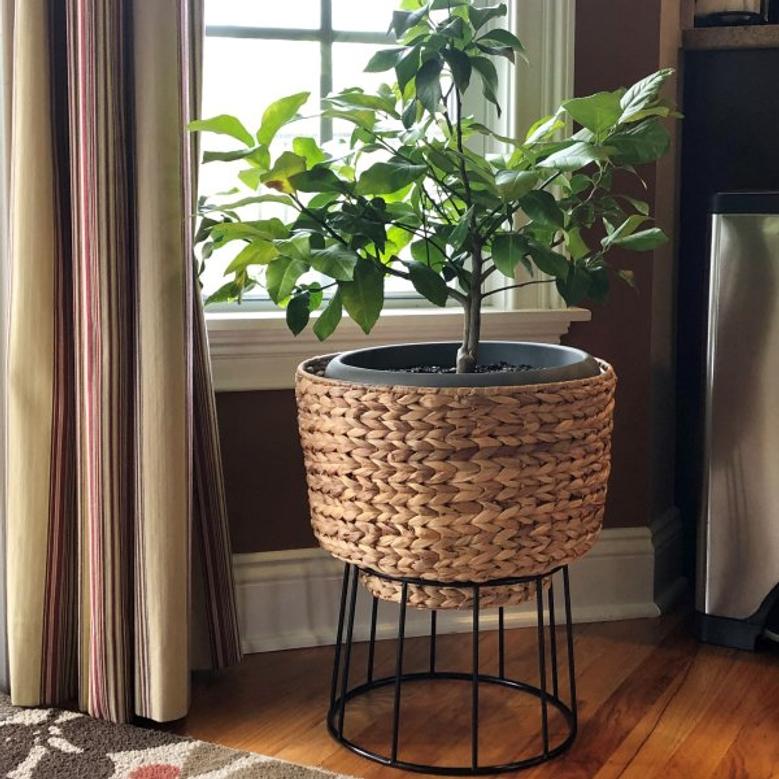Water Hyacinth Plant Pot With Metal Legs Woven Planter Wicker Plant Stand For Home And Garden