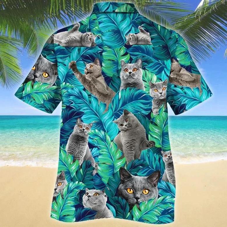 British Shorthair Cat Lovers Gift, Cat Summer Beach Palm Tree Hawaiian Shirt Summer Gifts