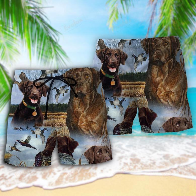 Hunting Chocolate Labrador Retriever Hunting Blue Sky Beach Short