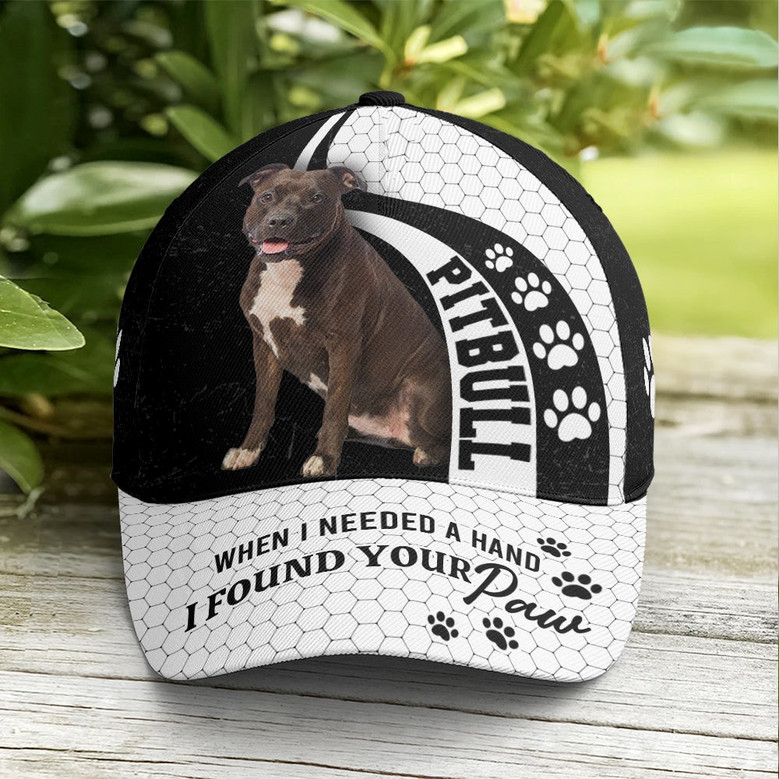 Pitbull When I Need A Hand I Found Your Pawn Baseball Cap