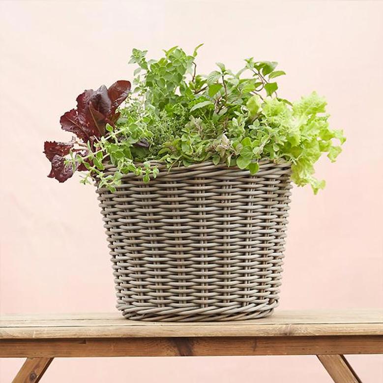 Elegant Wicker Taper Planter for Flower Gardens