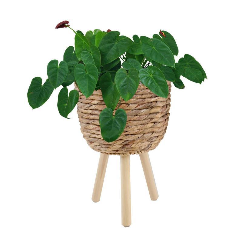 High Quality Wicker Plant Pot with Wooden Legs for Home Decor