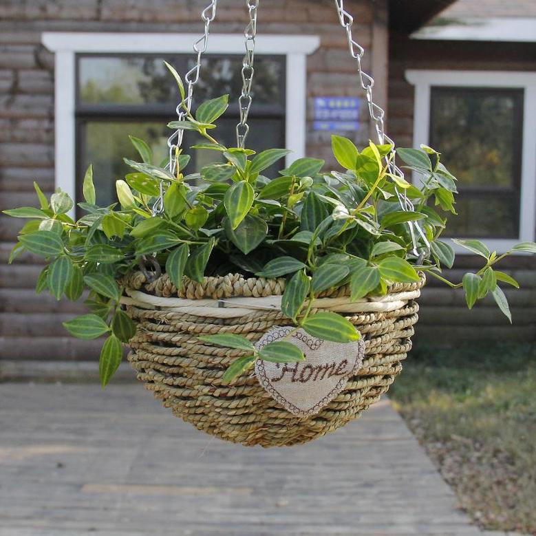 Stylish Rattan Hanging Basket for Home and Garden Decor