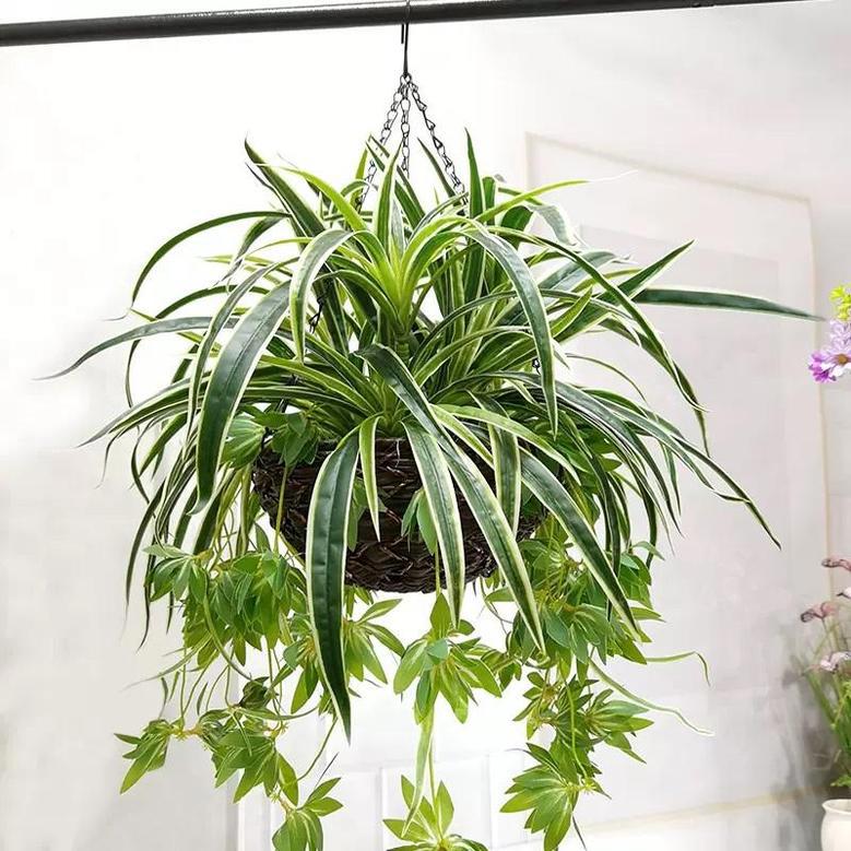 Stylish Rattan Hanging Basket for Home and Garden Decor